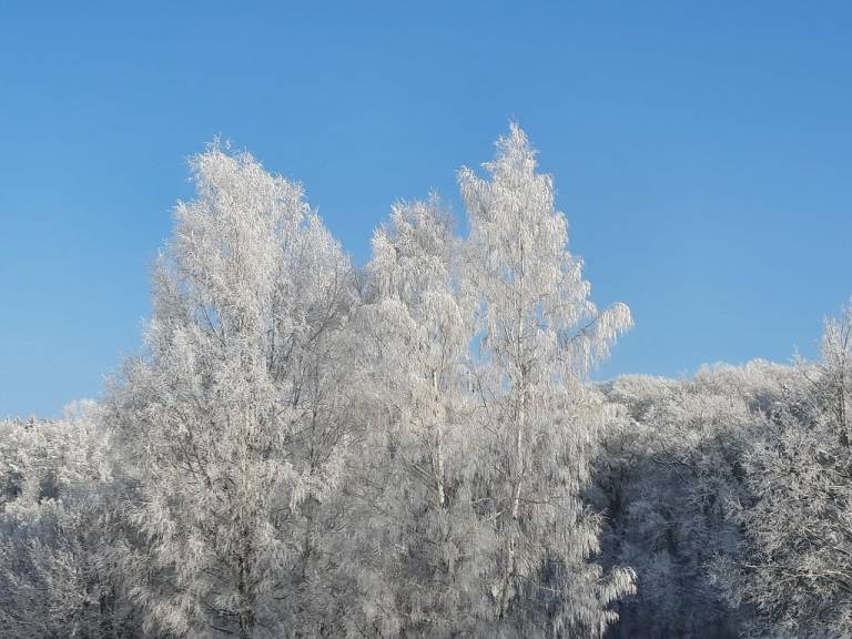 foto31