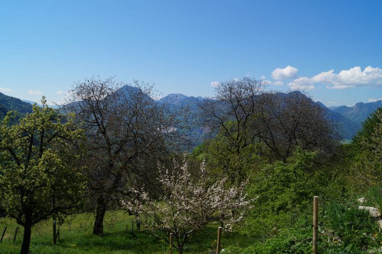 foto11