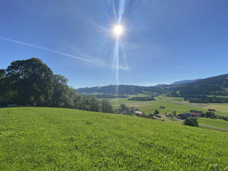 foto16