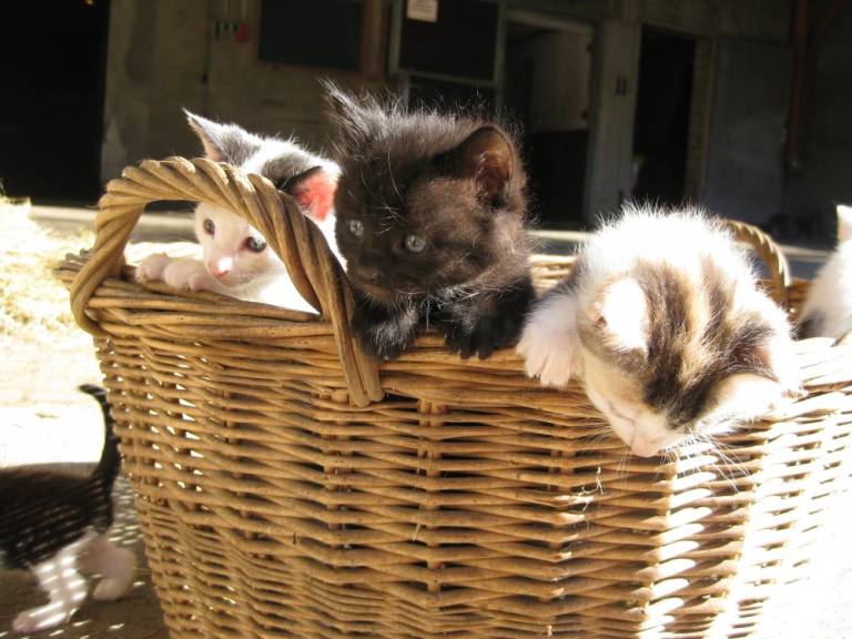foto16