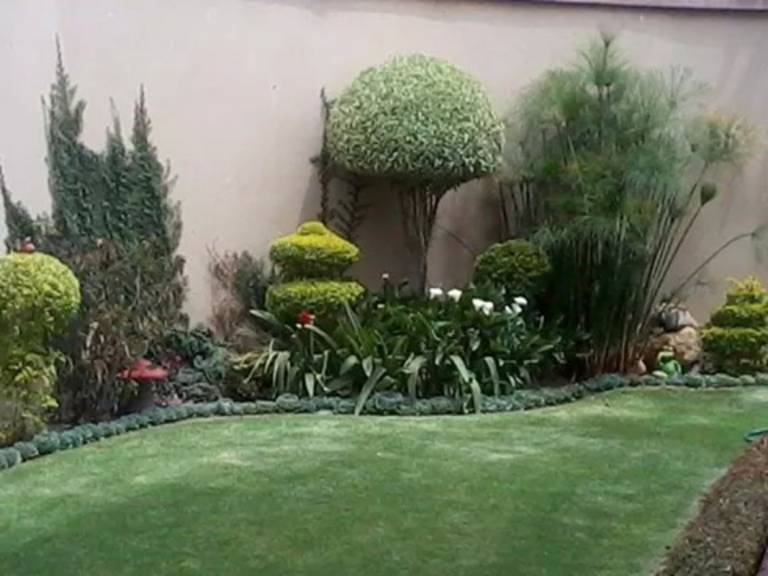 foto5
