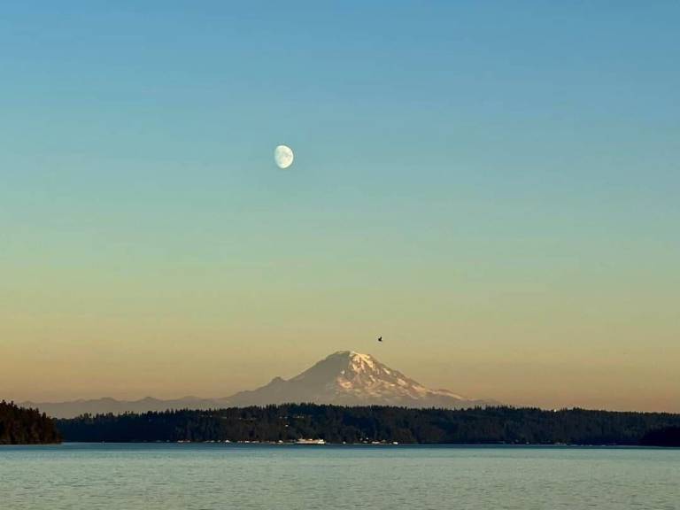 Apartment West Seattle