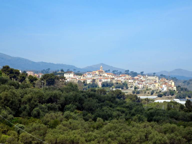 foto45