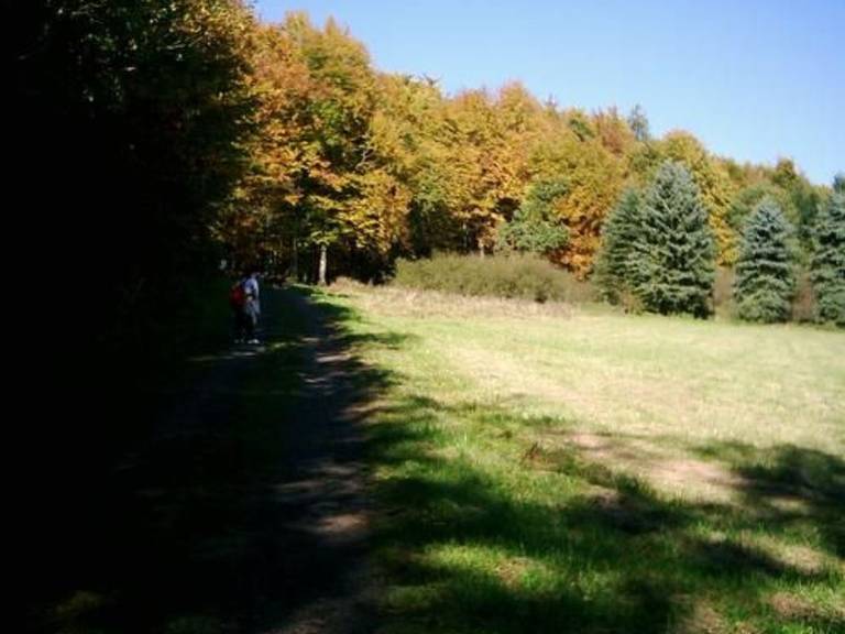 foto9