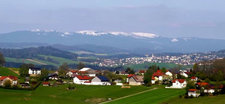 foto31