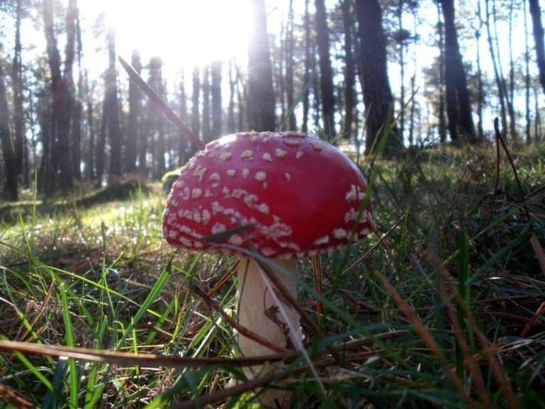 foto29