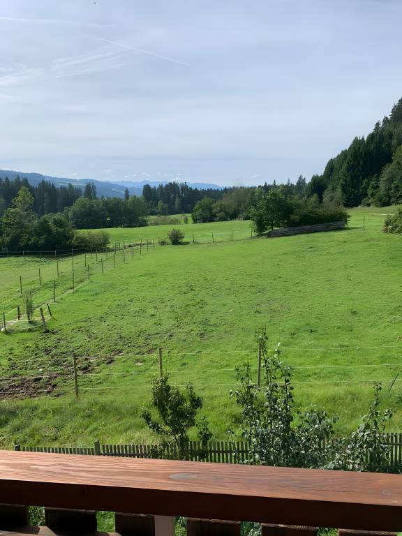foto15