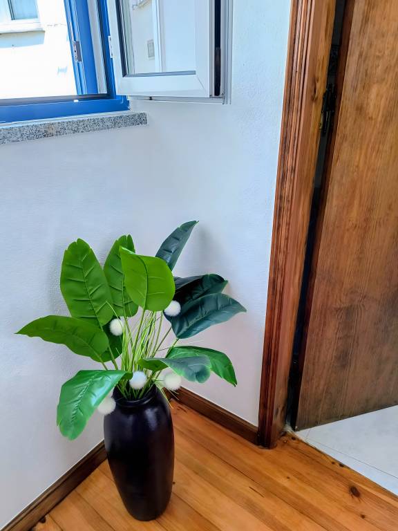 foto21
