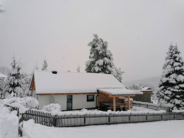 foto12