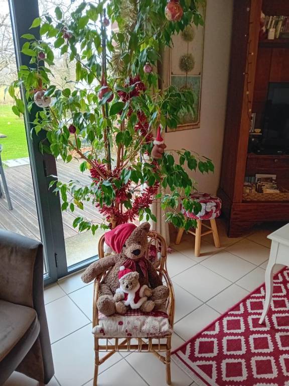 foto27