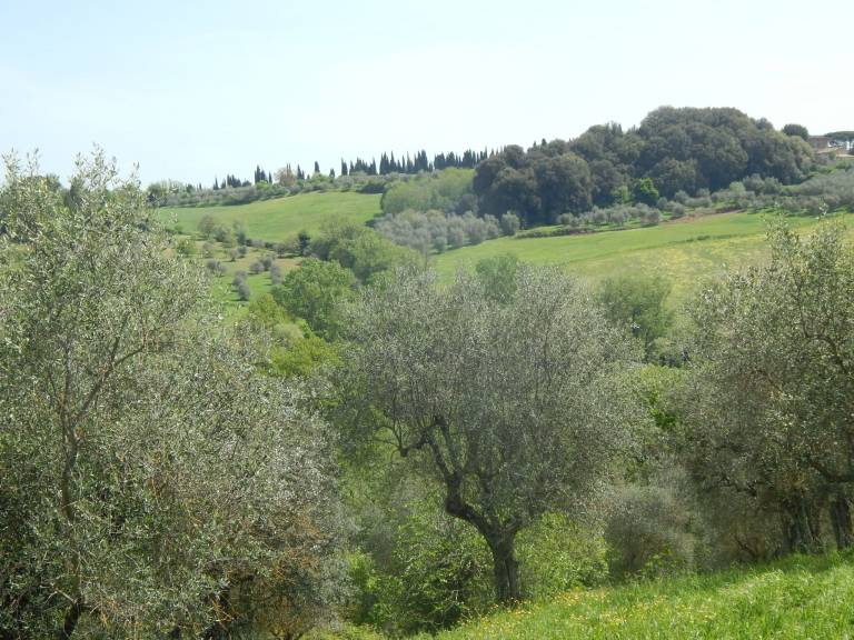 foto8