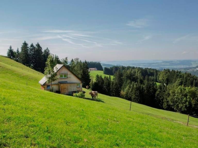 foto18