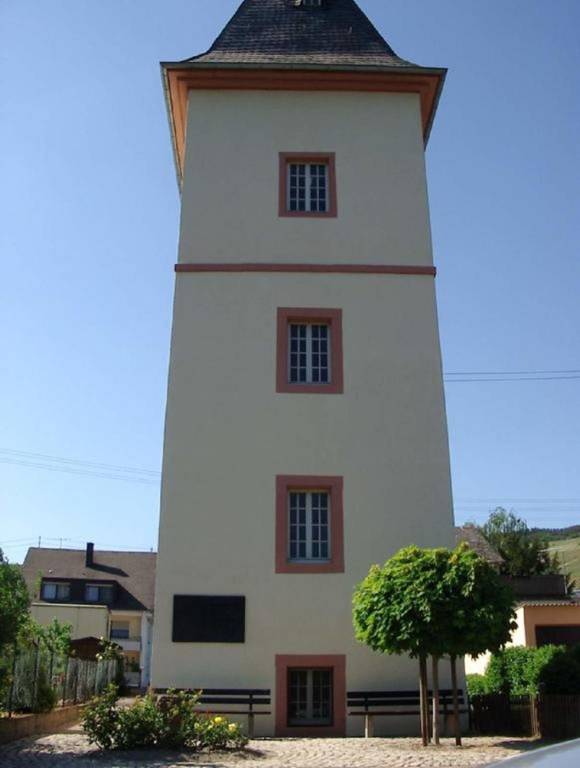 foto7