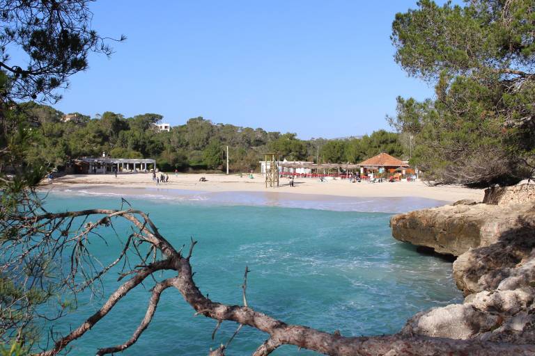 House Cala D'or