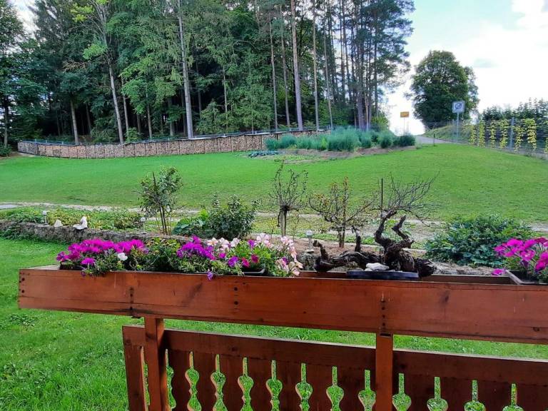 foto24