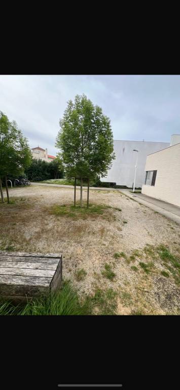 foto19