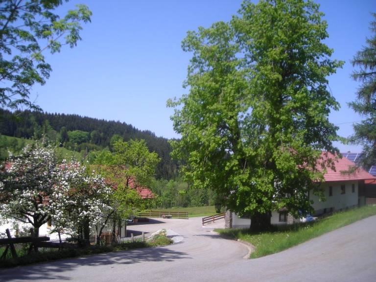 foto16
