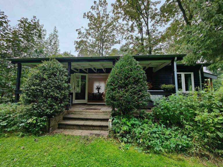 foto19