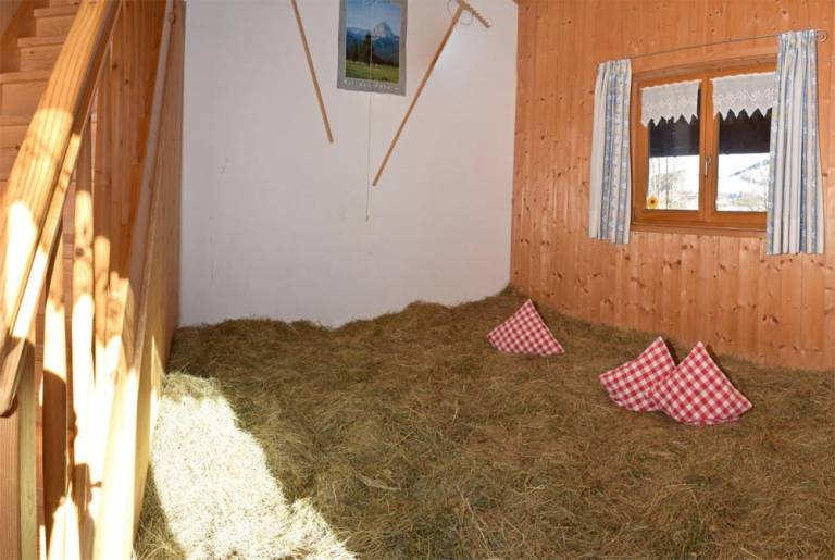 foto5