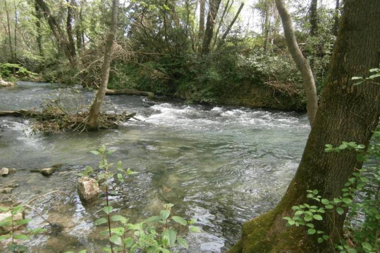 foto33