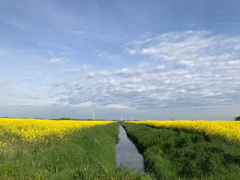 foto21