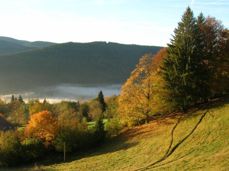 foto29