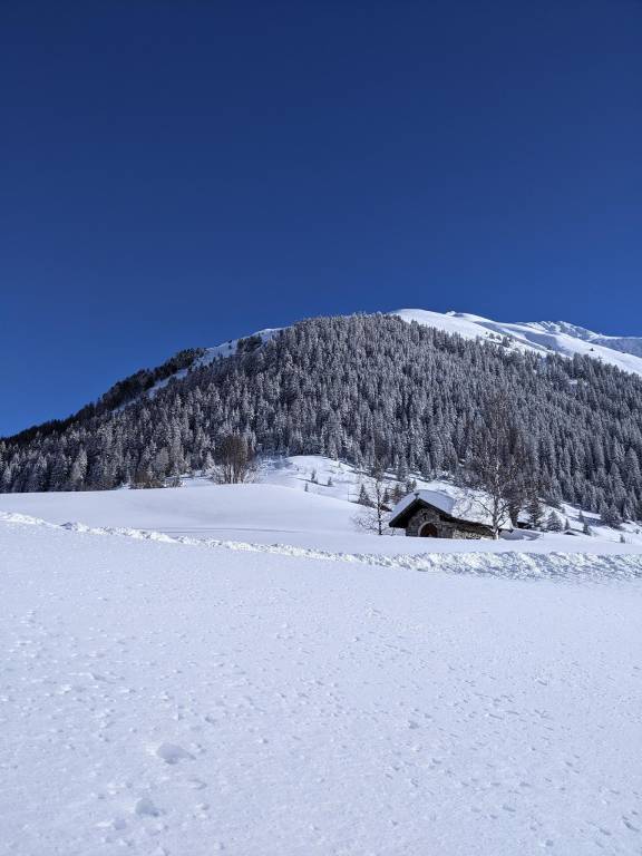foto10