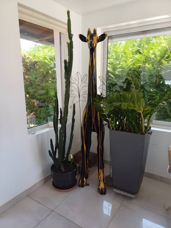 foto14