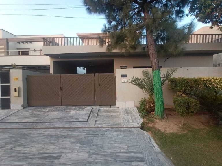 foto1