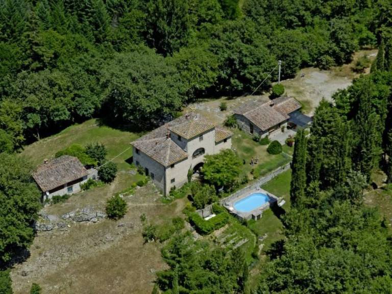 foto39