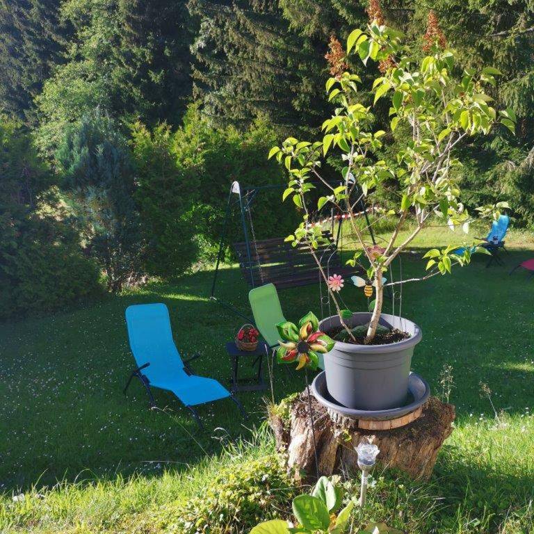 foto22