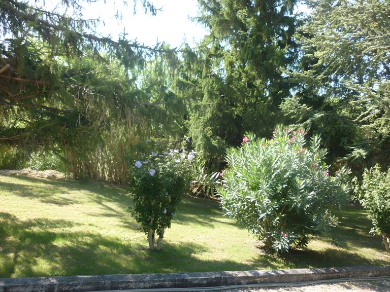 foto14