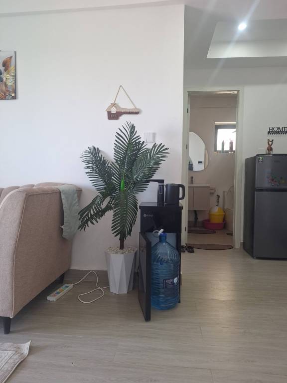 foto2
