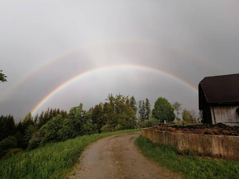 foto26