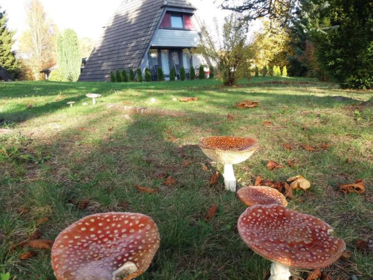 foto13
