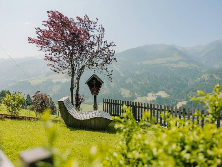foto20