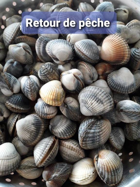 foto21