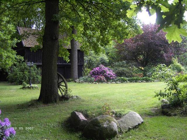foto11