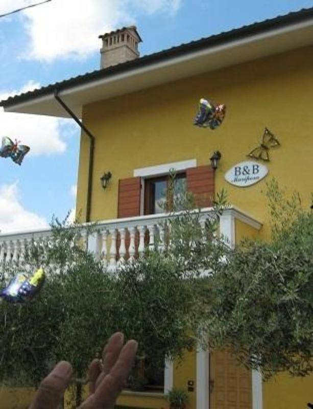 foto1