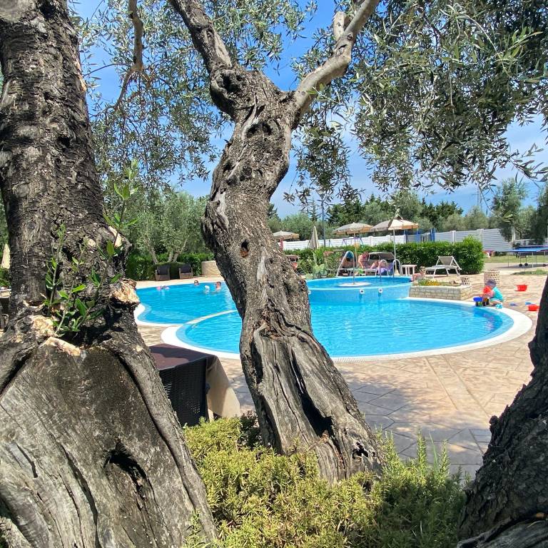 foto12