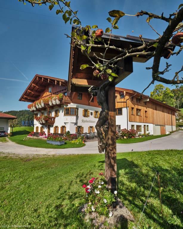 foto11