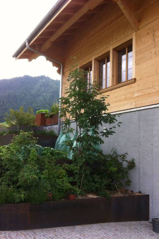 foto21