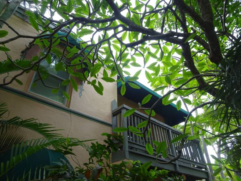 Bed and breakfast  Key West