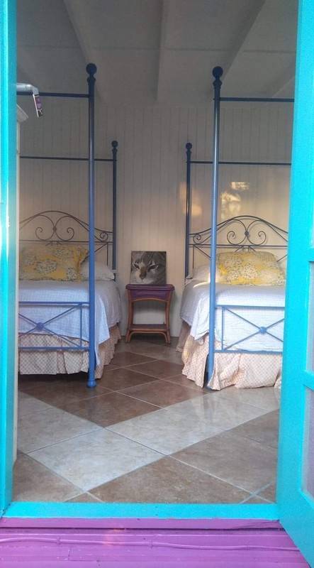 foto31