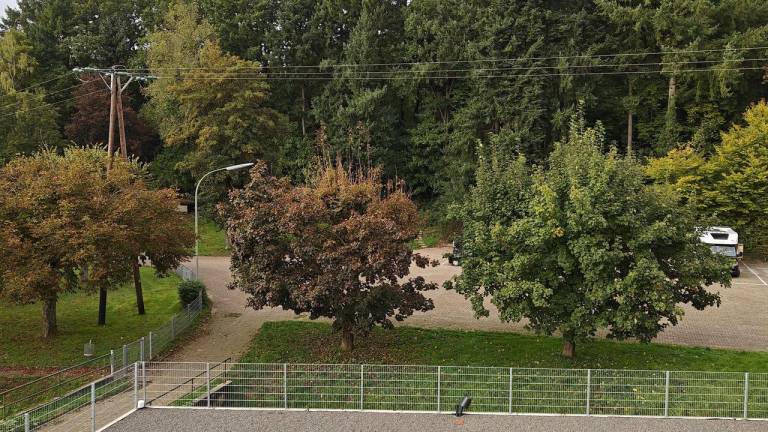 foto11