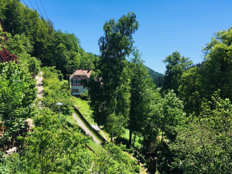 foto20