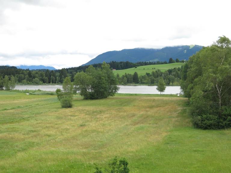 foto12