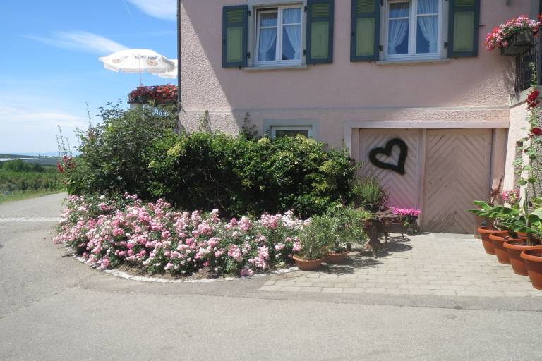 foto21