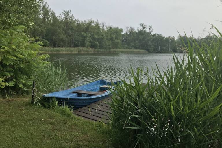 foto19