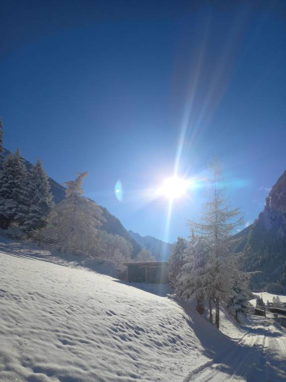 foto10